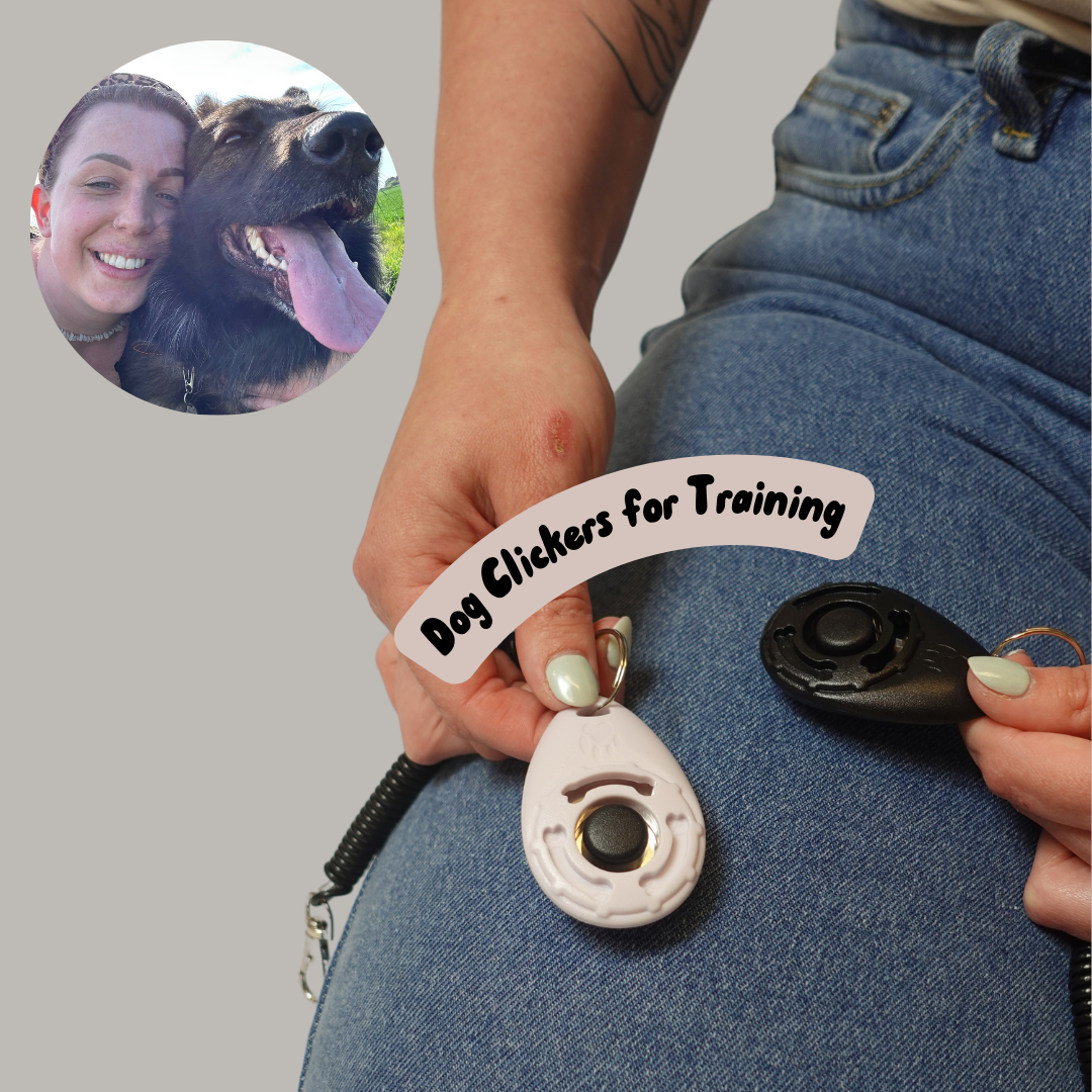 Dog Clicker For Training