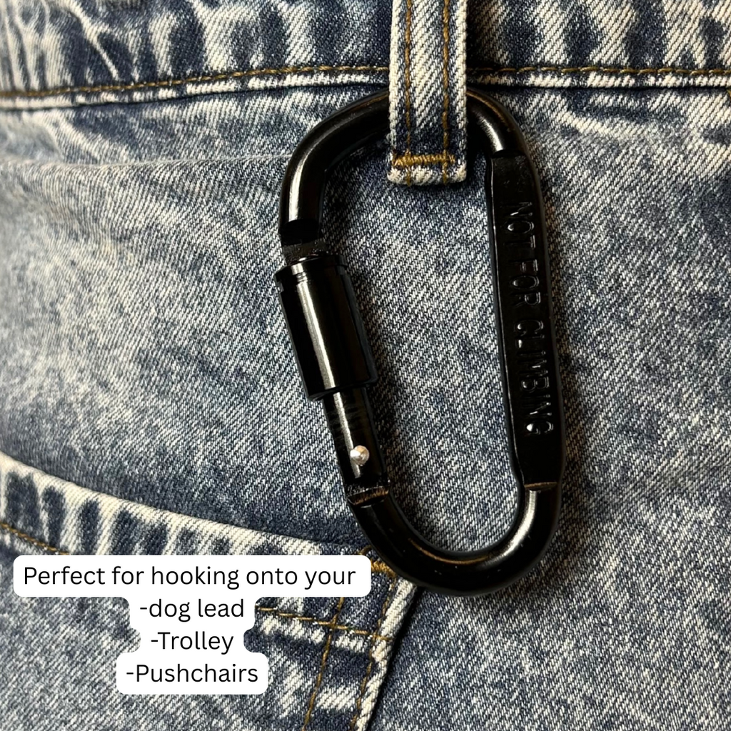 Small Metal Carabiner Hook