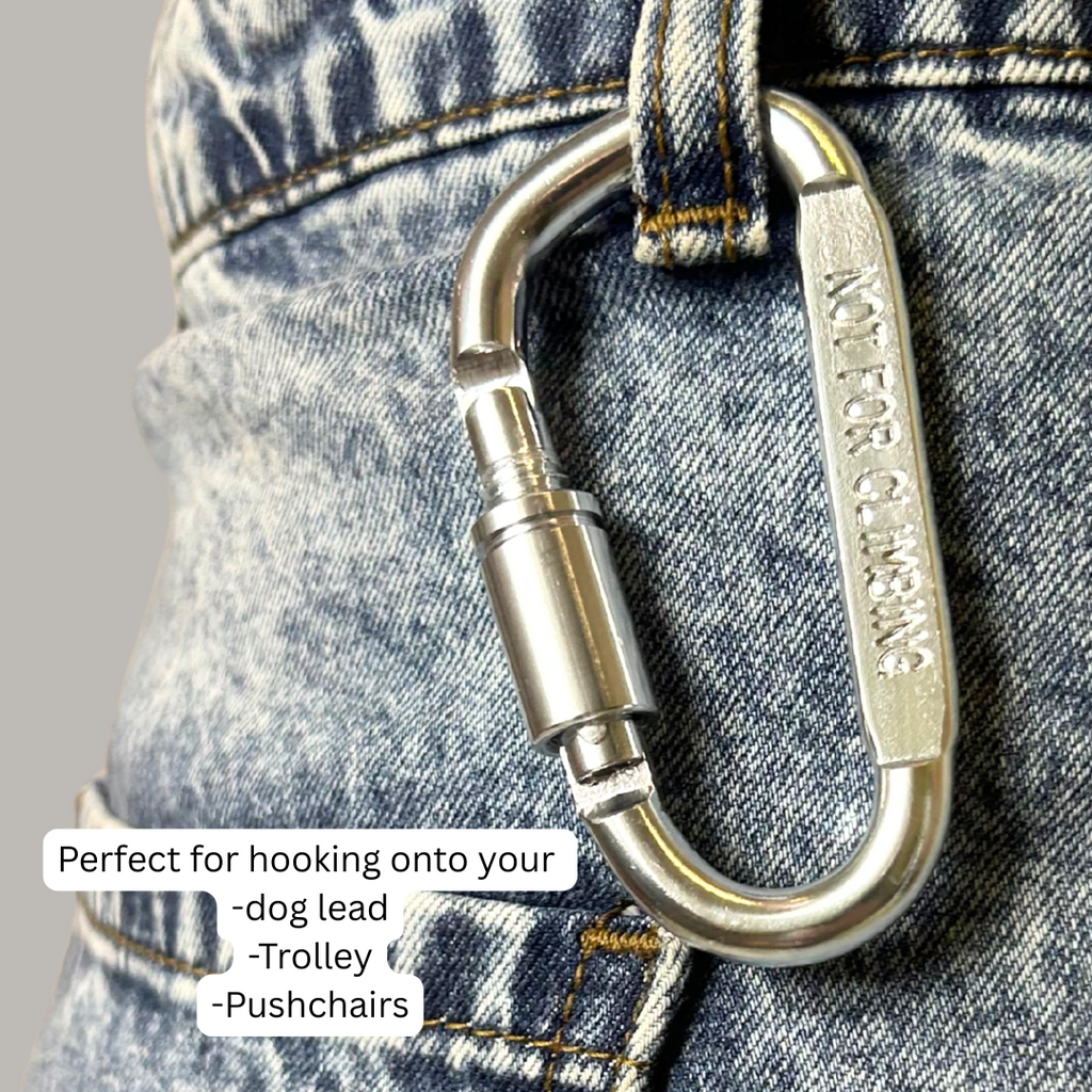Small Metal Carabiner Hook
