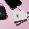 2000mAh Emergency Keyring Power bank