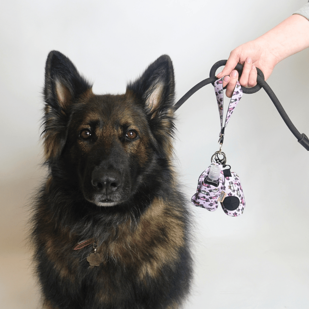 Pick Up Pups UK Legal Dog Walking Keychain