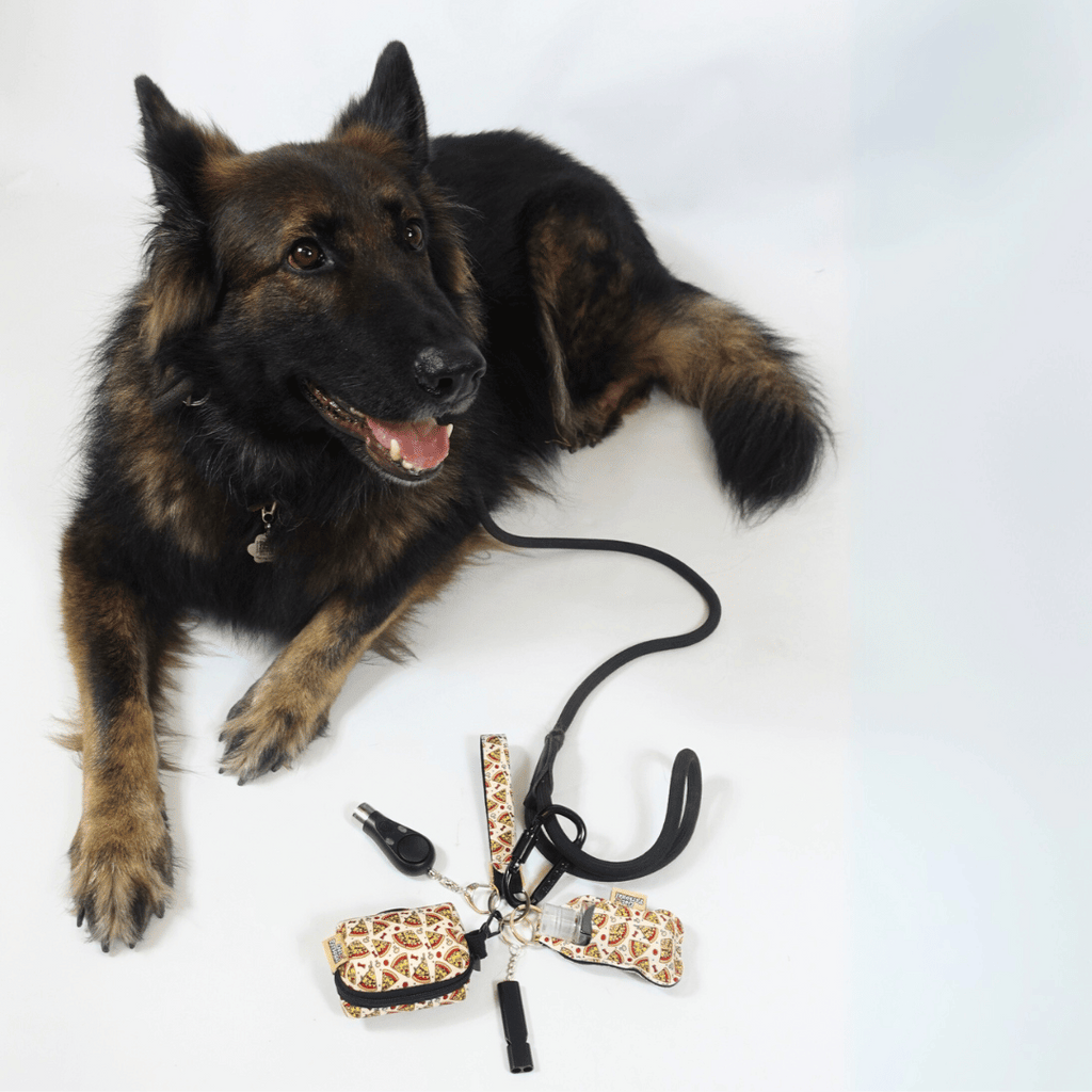 Bone Appetit UK Legal Dog Walking Keychain